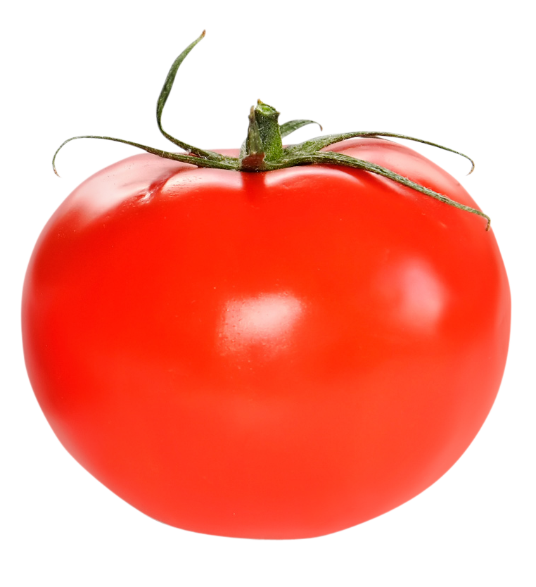 Tomato, fresh Tomato png, Tomato png image, Tomato transparent png image, Tomato png full hd images download